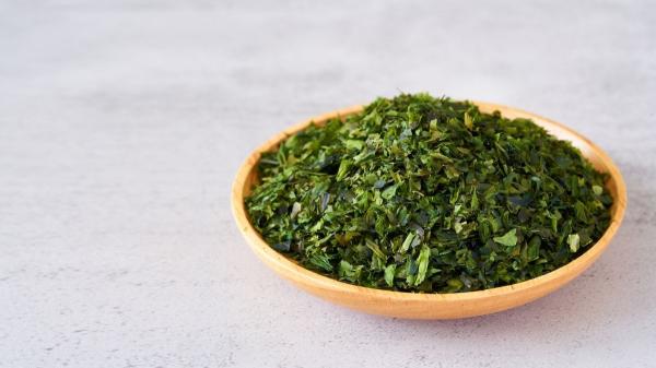 Alga kelp para perros: beneficios, dosis segura y cómo usarla para evitar riesgos - ¿Qué es el alga kelp y para qué sirve en perros?