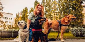 Más sanos y más adaptables: razones por las que los perros mestizos dominan las adopciones