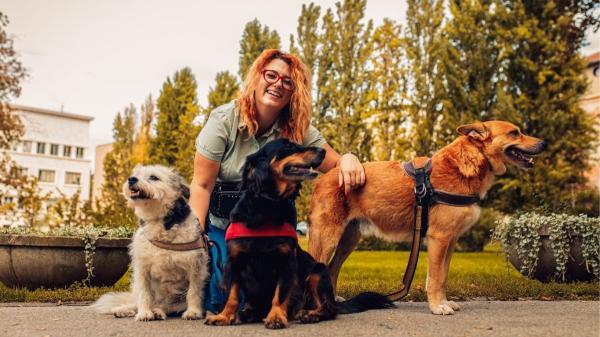 Más sanos y más adaptables: razones por las que los perros mestizos dominan las adopciones