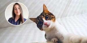 Pilar Guerrero, etóloga felina: “Hablar a tu gato por cámara, sin que pueda verte ni olerte, puede confundirle y estresarle”