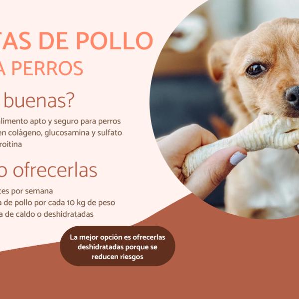 cuales son los mejores huesos para cachorros