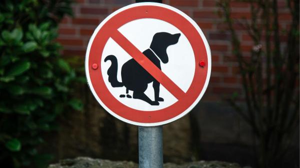 La Ley de Propiedad Horizontal lo establece: si un perro o gato de un vecino causa molestias, la comunidad puede actuar mediante el artículo 7.2 - El procedimiento que debe seguir una comunidad de vecinos en estos casos