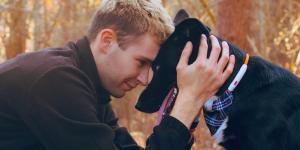 ¿Cómo cuidar la salud de mi perro?