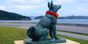 Día tras día, un perro nadaba tres kilómetros para reunirse con su gran amor: la historia de Shiro y Marilyn que inspiró una película