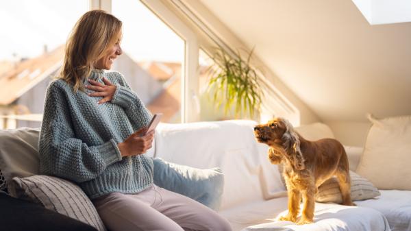 Soy etóloga canina y te cuento por qué tu perro se pone nervioso cuando entra gente en casa: ''Conocer el motivo es clave para poder poner solución al problema'' - Estas son las razones por las que tu perro se pone nervioso cuando viene gente a casa: ''Desde el miedo hasta la sobreexcitación, hay varias causas''