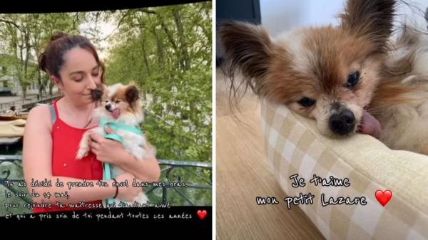 Muere Lazare, el perro más viejo del mundo, a los 30 años: “Eras nuestro pequeño bebé abuelito” - El vínculo emocional que ha conmovido a miles de personas