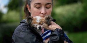 Muere Lazare, el perro más viejo del mundo, a los 30 años: “Eras nuestro pequeño bebé abuelito”