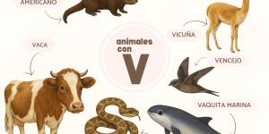 Animales que empiezan por V