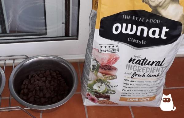 Los mejores piensos naturales para perros - Ownat