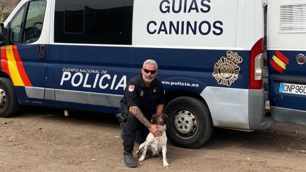 La Policía Nacional de Algeciras busca otra residencia para sus perros tras años de quejas de los vecinos: estos son los requisitos - Interior destina 194.326 euros a garantizar el alojamiento de los perros policía
