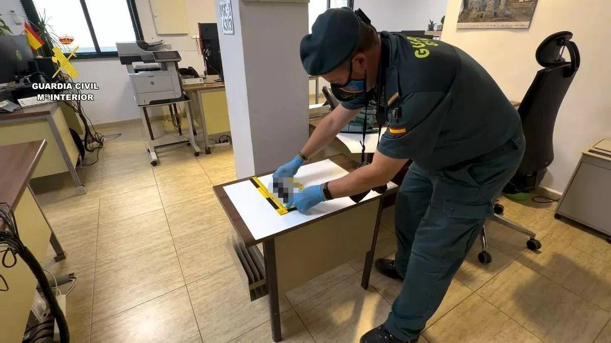 Una persona arroja al suelo a tres gatitos recién nacidos en Córdoba y mueren por las hemorragias: la Guardia Civil investiga el caso