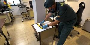 Una persona arroja al suelo a tres gatitos recién nacidos en Córdoba y mueren por las hemorragias: la Guardia Civil investiga el caso