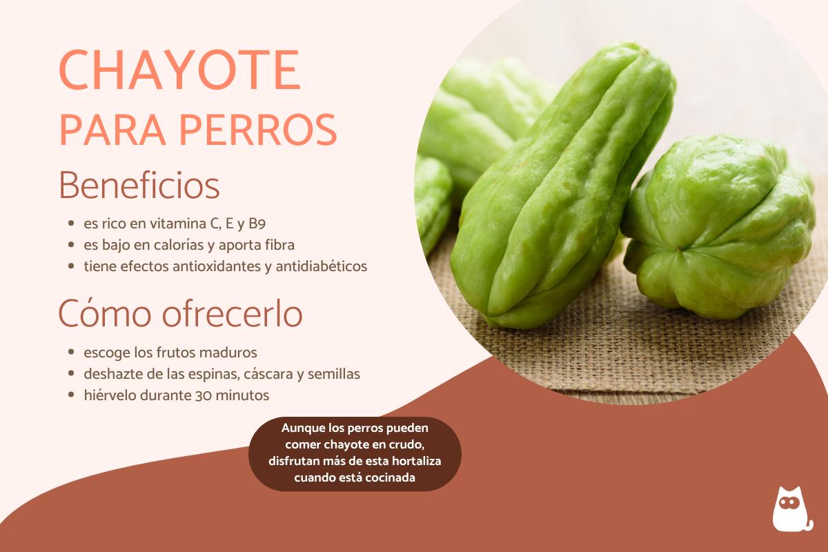 ¿Los perros pueden comer chayote?