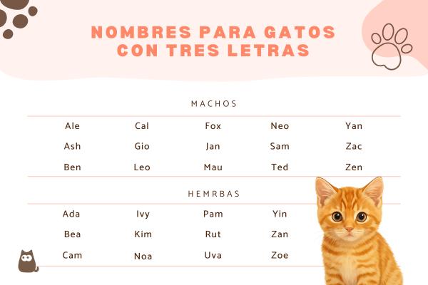 Nombres para gatos de tres letras