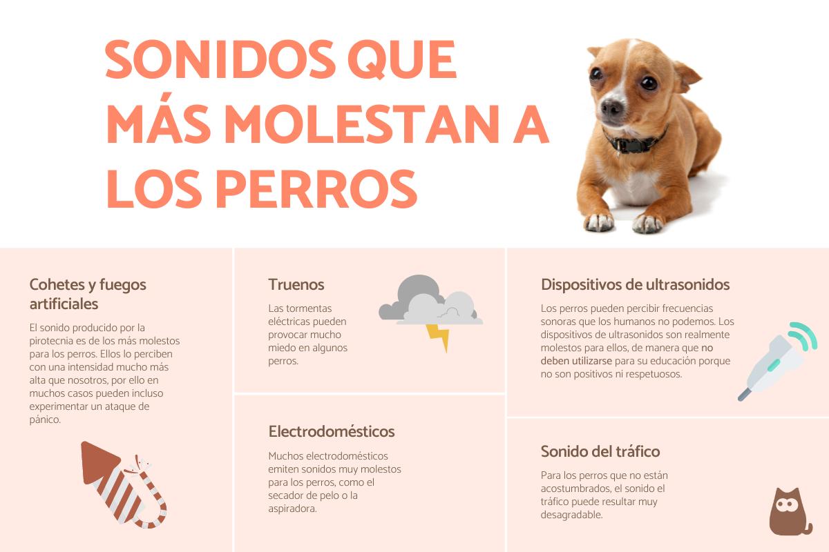 Sonidos que molestan a los perros