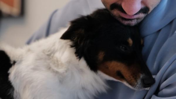 “Teníamos amor que dar”: Sara Sálamo e Isco Alarcón adoptan a Valle y Gupi y lanzan un mensaje de adopción responsable - El mensaje de Sara e Isco y la importancia de la adopción responsable