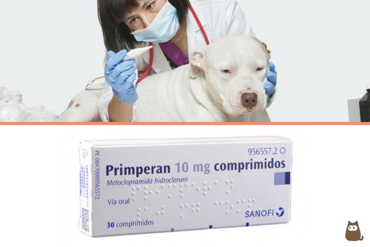Primperan para perros - Dosis y para qué sirve