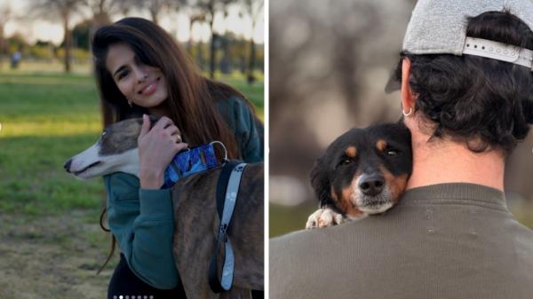 “Teníamos amor que dar”: Sara Sálamo e Isco Alarcón adoptan a Valle y Gupi y lanzan un mensaje de adopción responsable - Valle y Gupi: así son los nuevos miembros de la familia