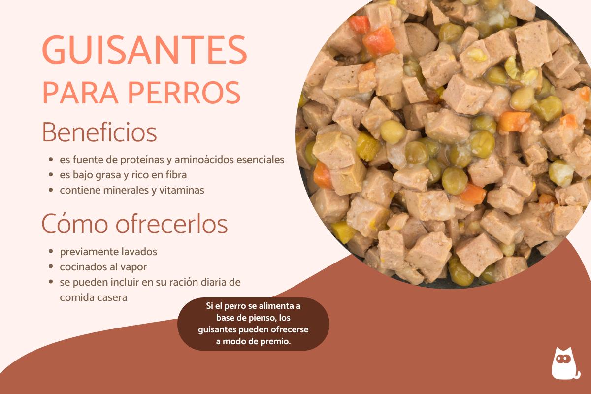 ¿Los perros pueden comer chícharos o guisantes?
