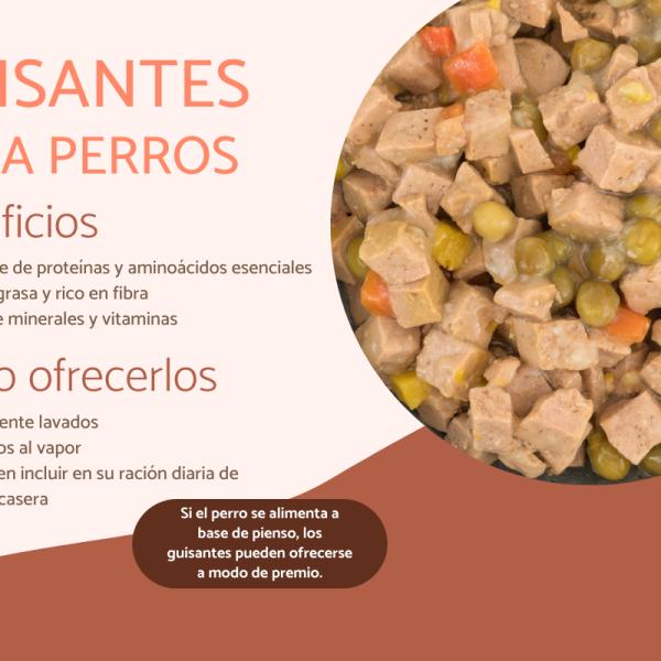están bien las lentejas para los perros