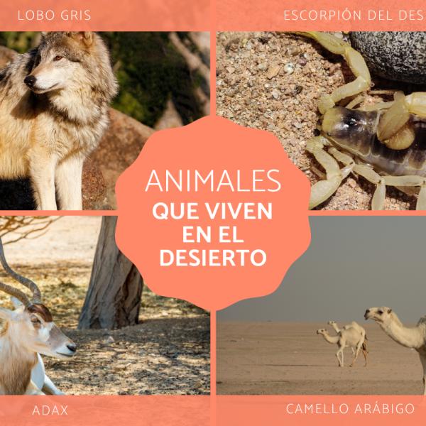 plantas y animales del desierto frio