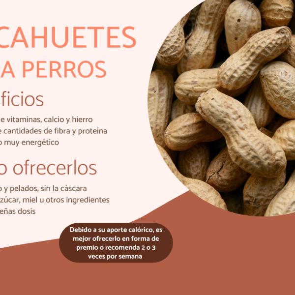 pueden los perros comer ñame crudo