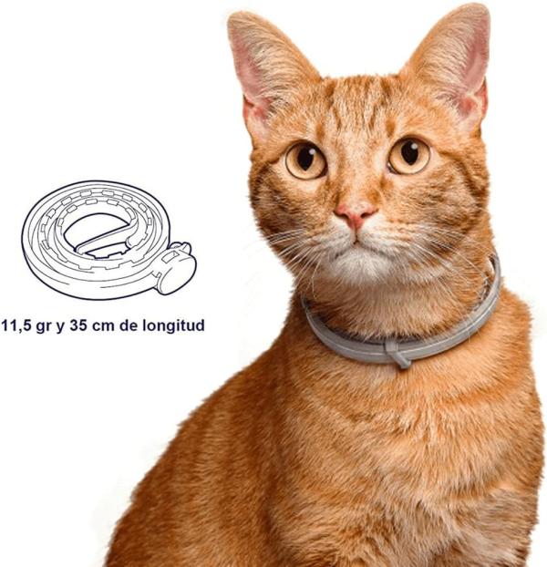 Los mejores collares antipulgas para gatos - 2. Collar Parasital