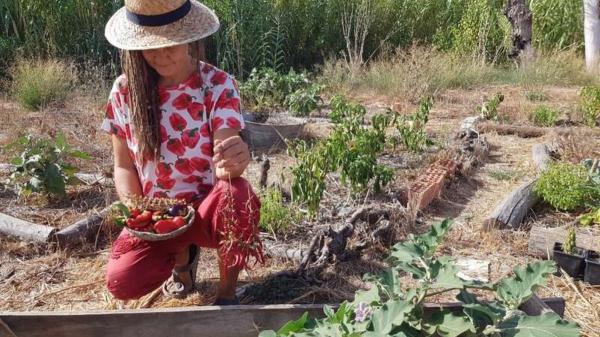 Una pareja busca voluntarios en Andalucía para cuidar perros y gatos rescatados: ofrece alojamiento en su finca de 6.400 m² con huerto ecológico - Así es la finca de Huelva que busca voluntarios para cuidar animales