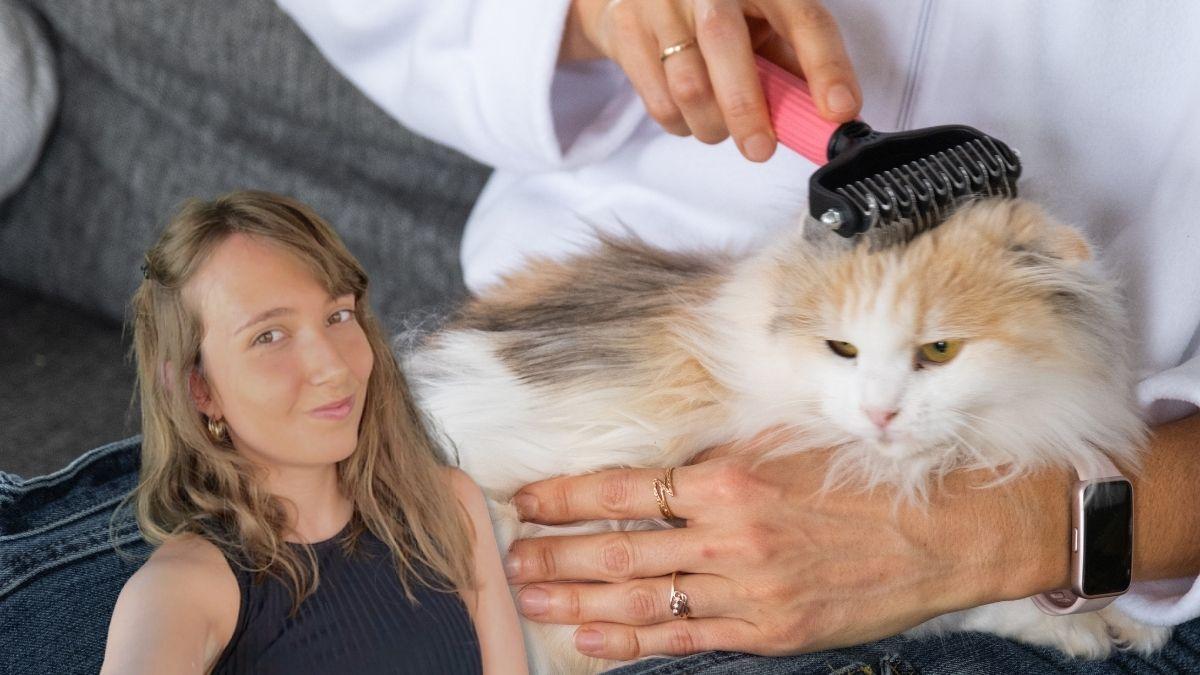 Laura García, veterinaria, sobre cómo prevenir las bolas de pelo sin recurrir a medicamentos: "El cepillado diario y la hidratación son claves para mantener a tu gato sano"