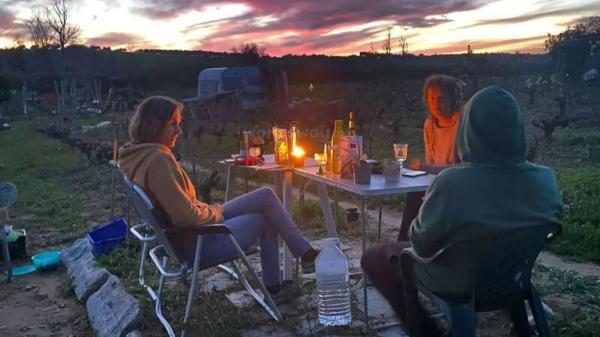 Una pareja busca voluntarios en Andalucía para cuidar perros y gatos rescatados: ofrece alojamiento en su finca de 6.400 m² con huerto ecológico