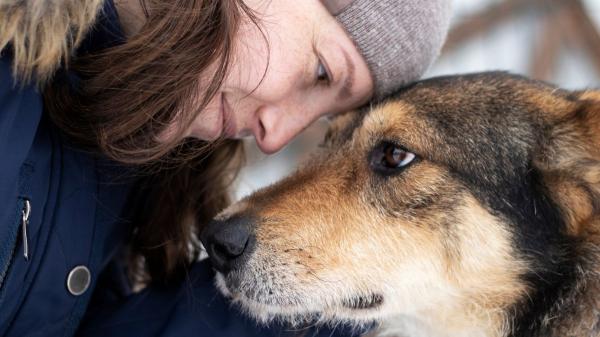 Un estudio descubre el verdadero motivo por el que tu perro te mira así: no es solo atención, es una conexión emocional única - El secreto de la conexión entre perros y humanos: miles de años evolucionando juntos