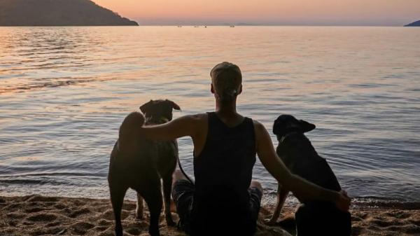 La aventura del español Roberto Sastre y sus dos perritas: 31 países africanos, un velero por el mar Rojo y una promesa intacta - Las verdaderas protagonistas del viaje: dos perras adoptadas y una promesa