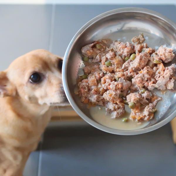 cuál es la comida para cachorros más segura