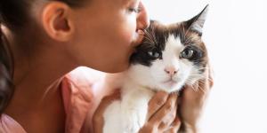 Los expertos en comportamiento felino advierten: estos gestos cotidianos enfurecen a tu gato y pueden estresarlo sin que lo notes