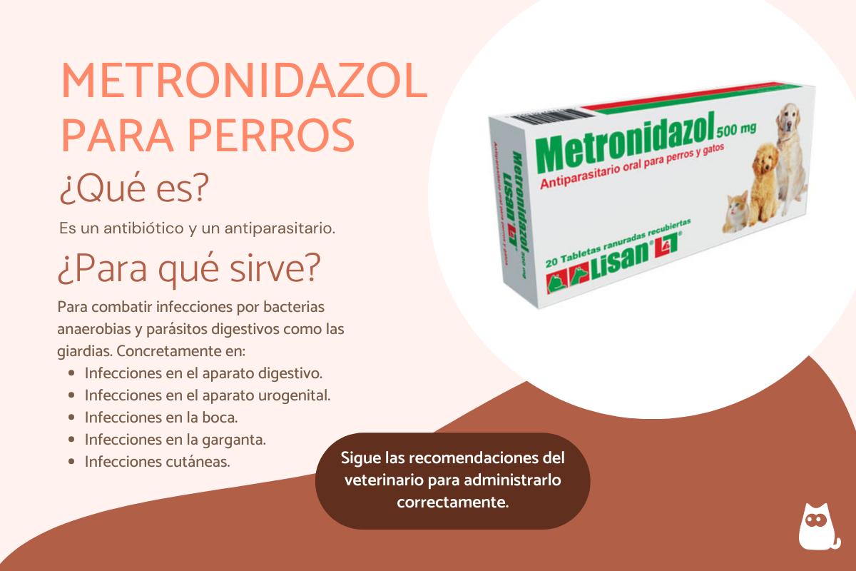 Metronidazol para perros: dosis, usos y efectos secundarios