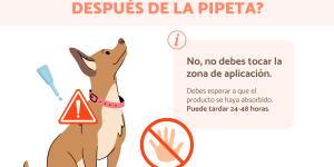 ¿Puedo tocar a mi perro después de la pipeta?