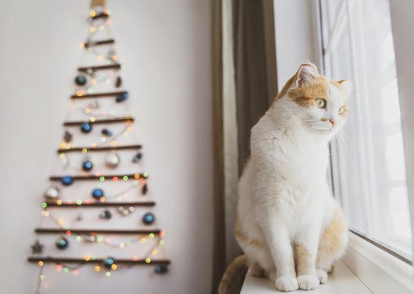 Árbol de Navidad con gatos en casa: ideas originales y seguras - ¿Qué árbol de Navidad con gatos es más adecuado?
