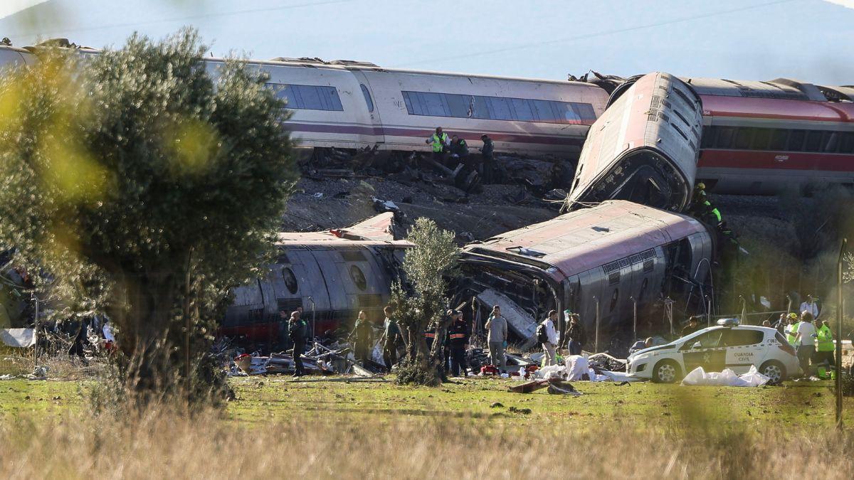 Los veterinarios de Toledo se movilizan tras el grave accidente de trenes y habilitan una red de clínicas para atender a los animales que lo necesiten: estos son los centros disponibles