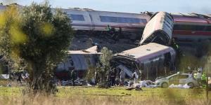 Los veterinarios de Toledo se movilizan tras el grave accidente de trenes y habilitan una red de clínicas para atender a los animales que lo necesiten: estos son los centros disponibles