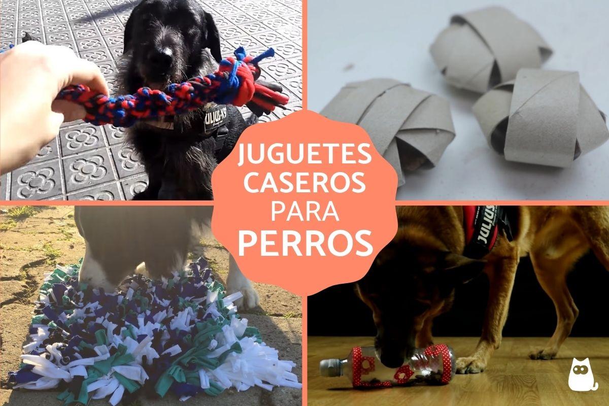 Juguetes caseros para perros