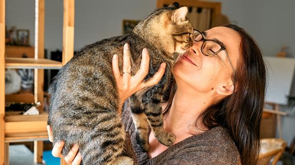 Noelia Hernández, educadora felina: “Los gatos crean vínculos de apego tan fuertes como los perros, aunque parezcan indiferentes” - Los gatos dan cabezazos para reforzar el vínculo con sus personas de confianza