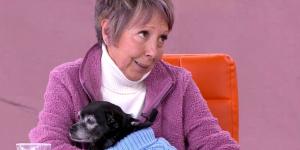 “He dejado mi herencia a mi perra”: el caso que ha reabierto el debate sobre testamentos y mascotas