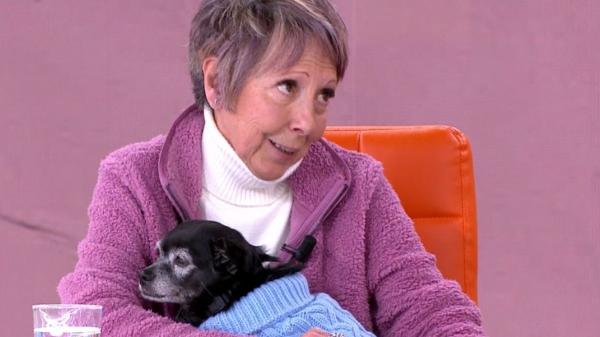 “He dejado mi herencia a mi perra”: el caso que ha reabierto el debate sobre testamentos y mascotas