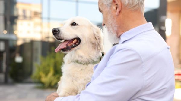 “He dejado mi herencia a mi perra”: el caso que ha reabierto el debate sobre testamentos y mascotas - ¿Se puede dejar una herencia a una mascota en España? Qué dice la ley