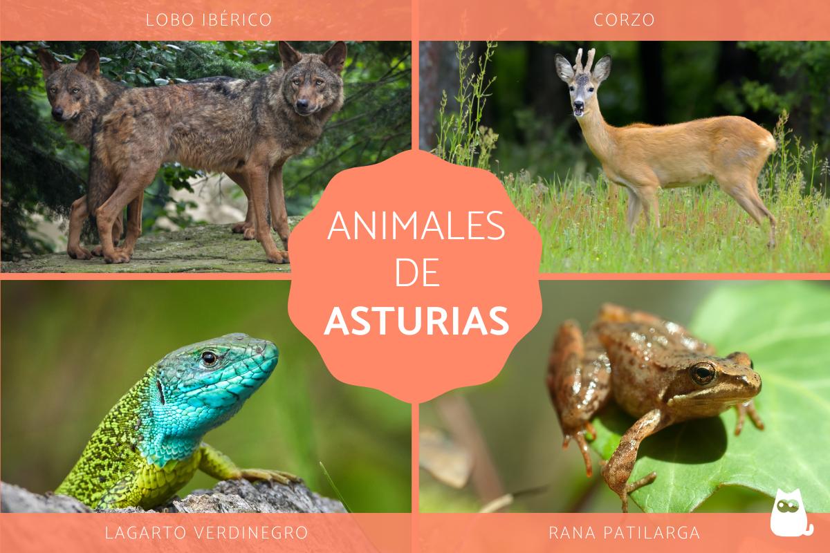 Fauna de Asturias