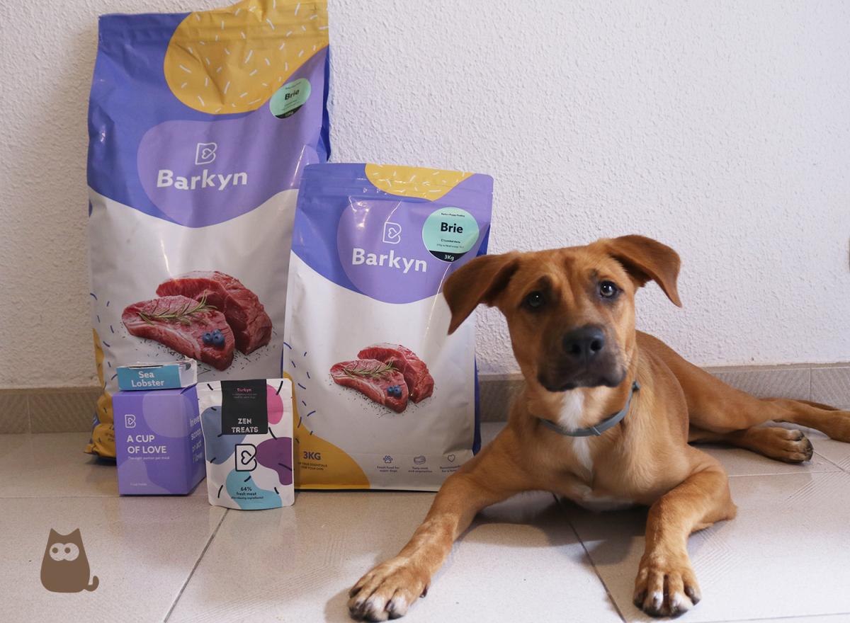 Pienso para perros Barkyn - Opiniones, composición y precio