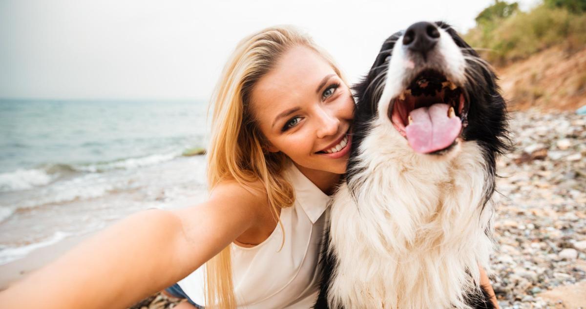 Cómo hacer famoso a mi perro en Instagram