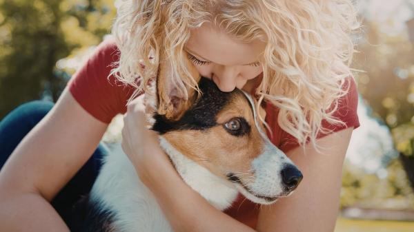 La psicología lo confirma: tu perro refleja perfectamente si eres una persona introvertida o extrovertida - ¿Elegimos perros como nosotros o los convertimos en nuestro reflejo?