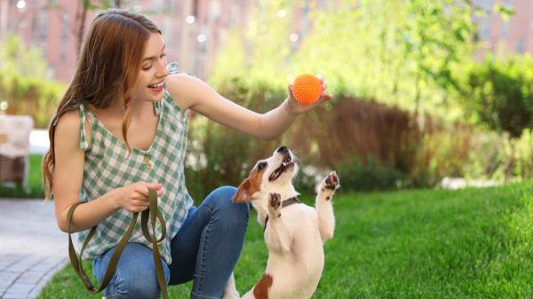 La psicología lo confirma: tu perro refleja perfectamente si eres una persona introvertida o extrovertida