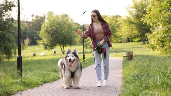 La psicología lo confirma: tu perro refleja perfectamente si eres una persona introvertida o extrovertida - Si eres introvertido o extrovertido, tu perro lo nota